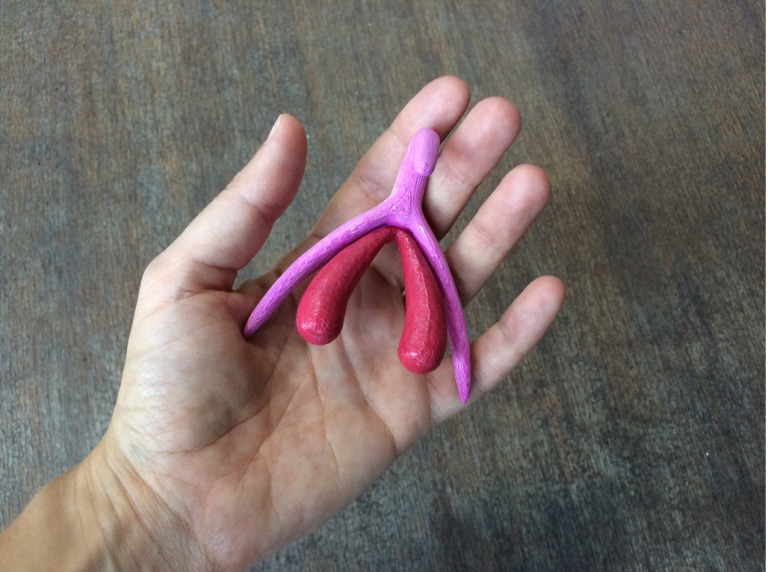 Photo de Marie Docher d'un clitoris en 3D